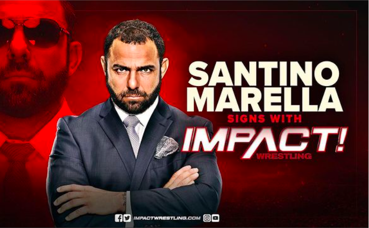 Photo Credit: IMPACT