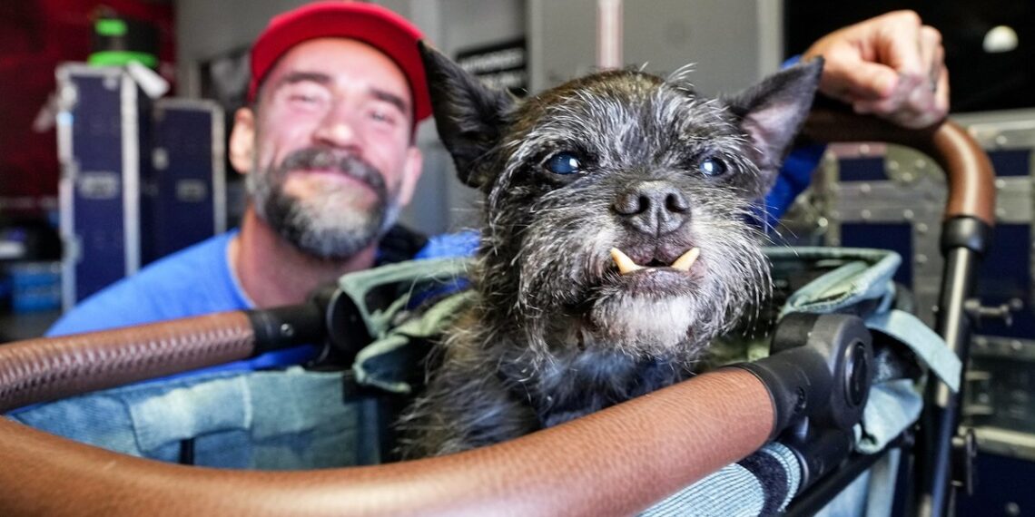 CM Punk and Larry the Dog | Source: WWE