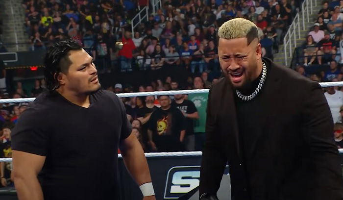New Full WWE Ring Name Revealed