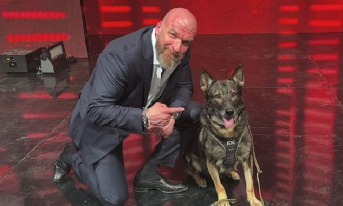 Triple H With Deputy State Fire Marshal K9 Jimpy At WWE Raw, Celebrating ’20 Years Of Dominik Mysterio In WWE,’ SummerSlam