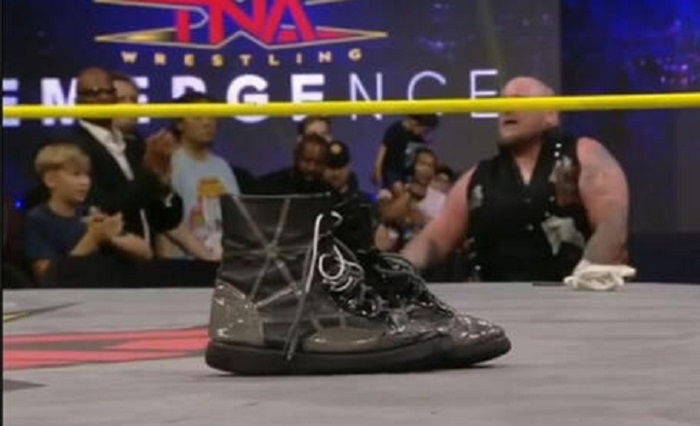 Top TNA Wrestler Retires, Léi Yǐng Lee Is Staying With TNA Wrestling, The Hardy Boyz & The Elegance Brand Retain