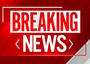 Breaking News | Source: Mashed Radish