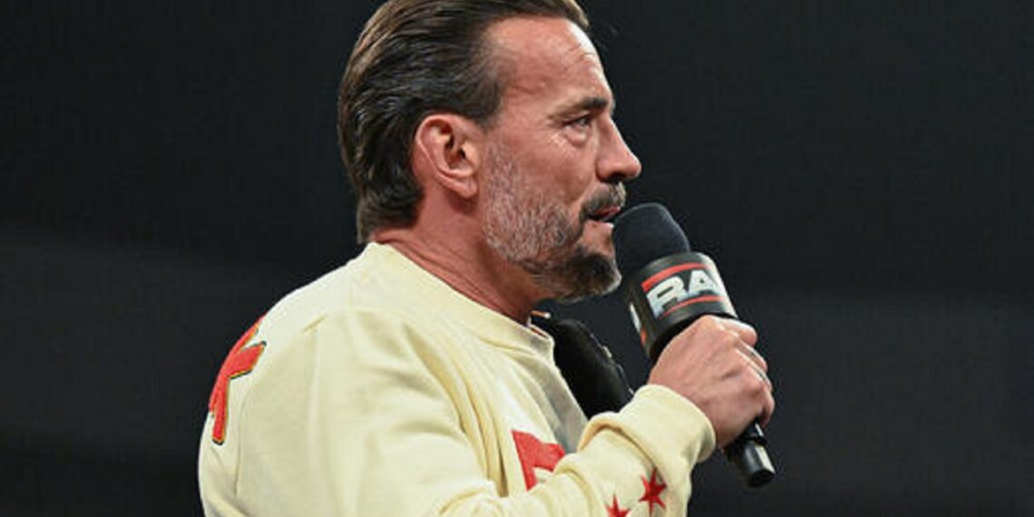 CM Punk | Source: WWE