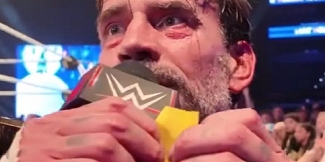 CM Punk | Source: WWE TikTok