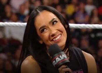 AJ Lee | Source: WWE