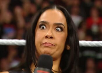 AJ Lee | Source: WWE