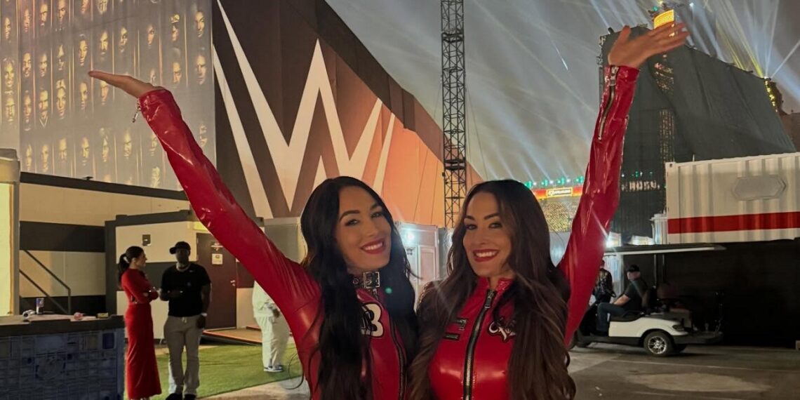 The Bella Twins | Source: WWE