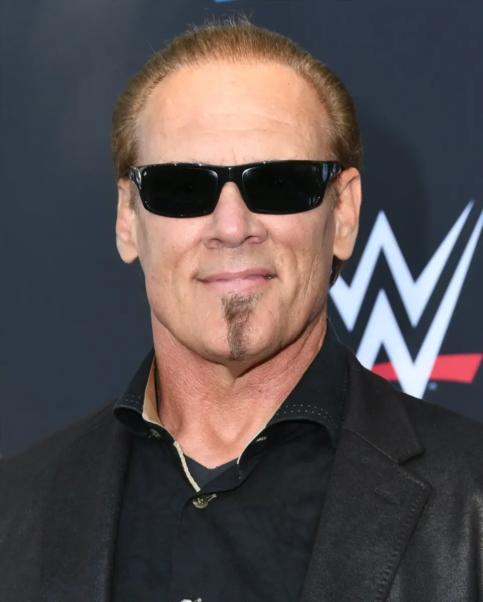 Sting Files With USPTO For Very Specific Trademarks With Tony Schiavone Included