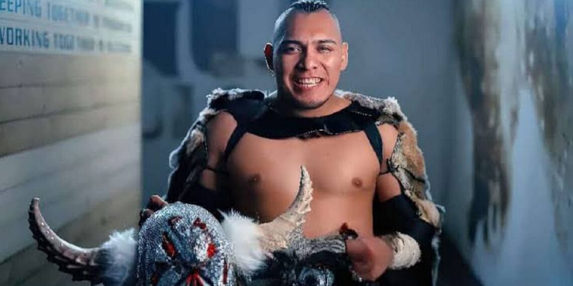 El Hijo del Vikingo