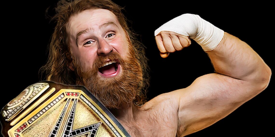 Undisputed WWE Champion Sami Zayn | Image Source: WWE