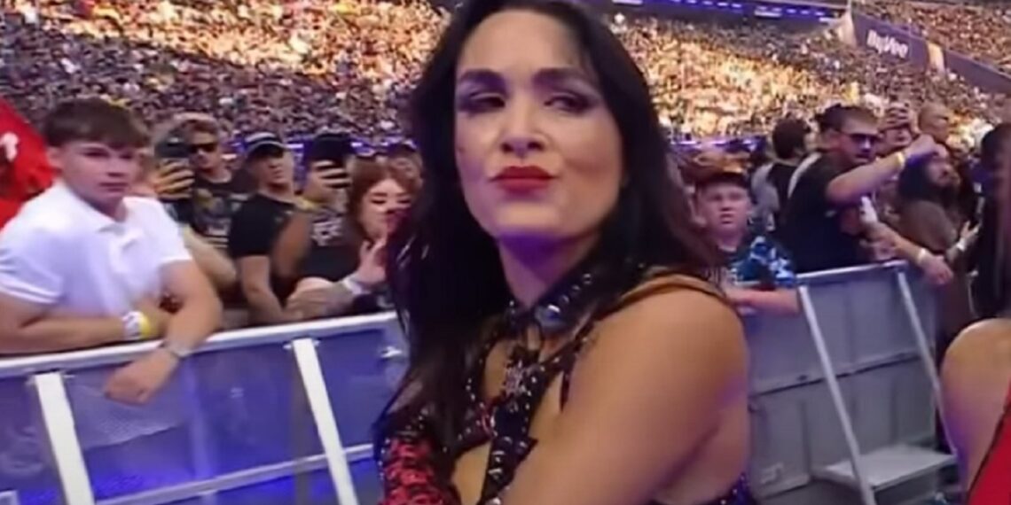 Brie Bella injured | Image Source: WWE
