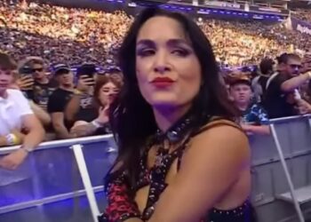Brie Bella injured | Image Source: WWE