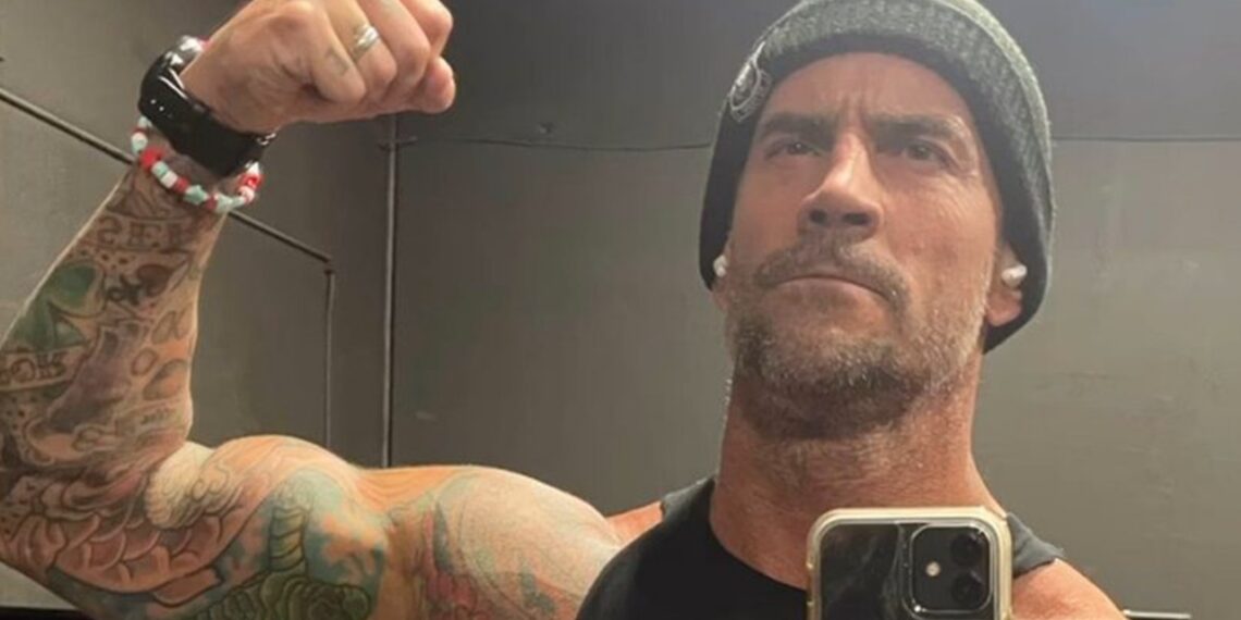 CM Punk