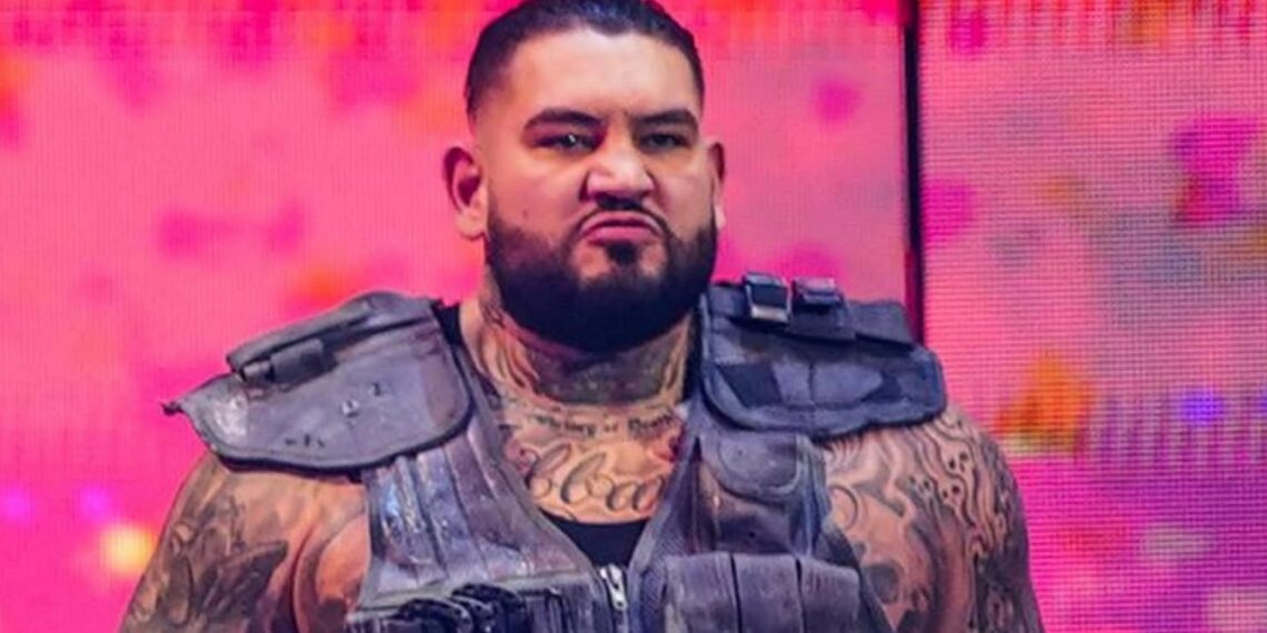 Gzim Selmani as one-half of The Authors of Pain | Image Source: WWE