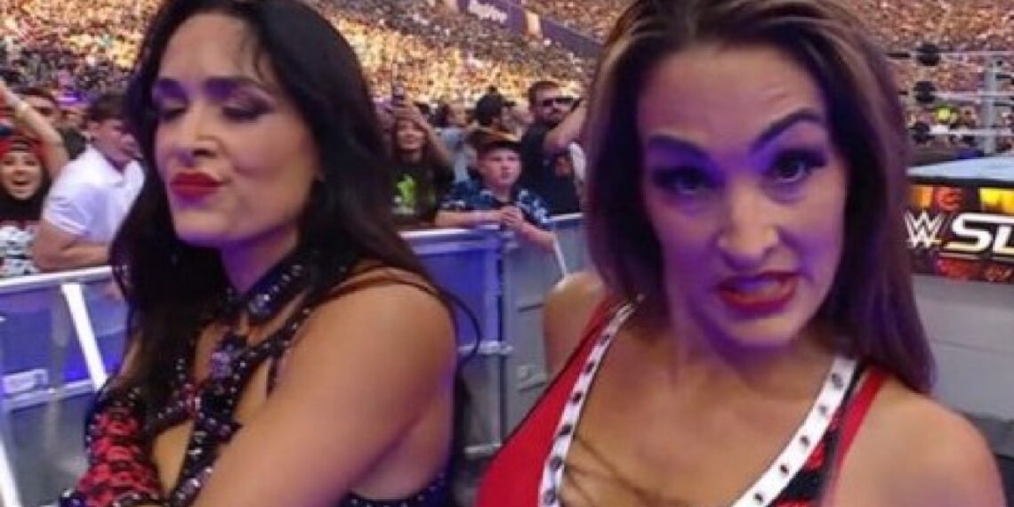 Brie Bella injured after The Bella Twins heel turn at WWE SummerSlam