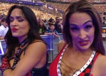 Brie Bella injured after The Bella Twins heel turn at WWE SummerSlam
